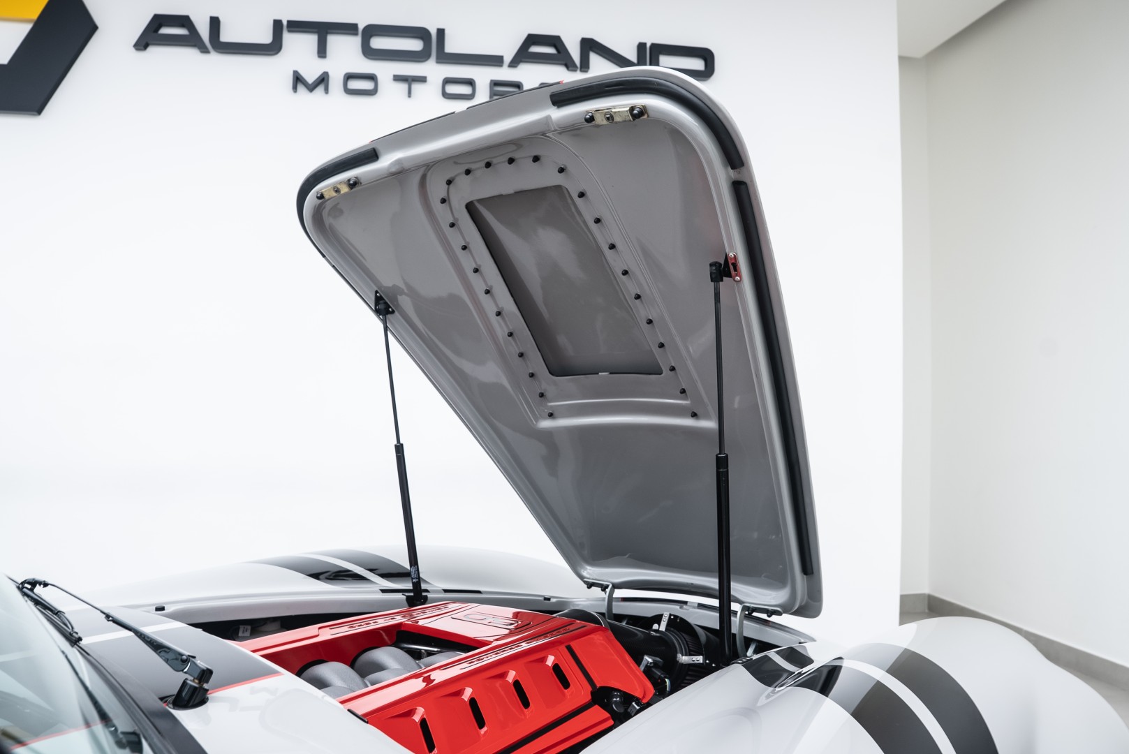 1965 FORD GT  BRAND NEW BACKDRAFT RACING COBRA RT4 | 5.0L V8